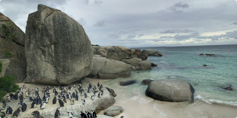 Bouldersi rand: ranniku imedemaa, kus kaldajoont valitsevad pingviinid