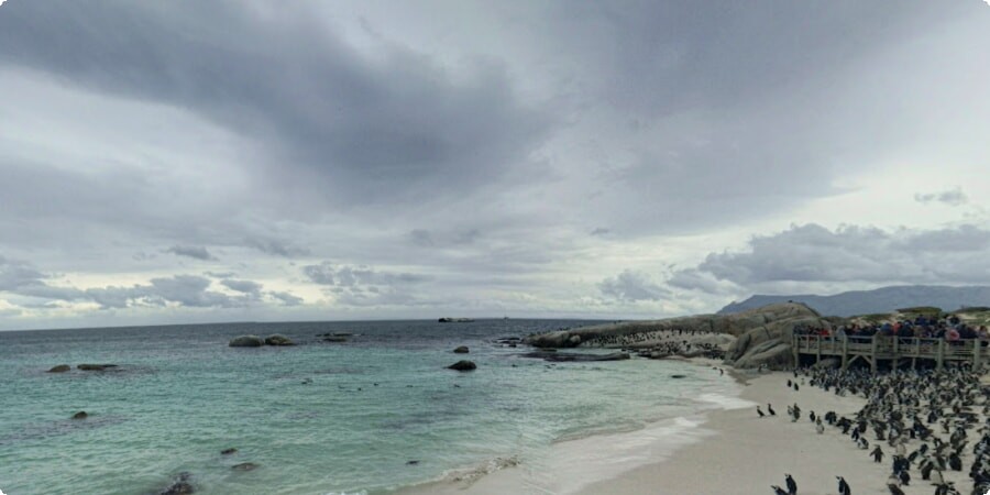 Preserving Boulders Beach