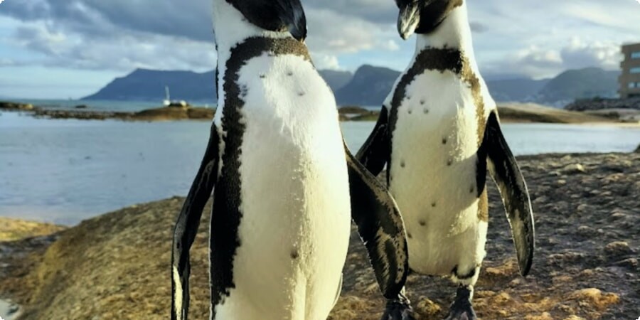 Surrounding Attractions