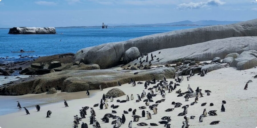 Wildlife Conservation Efforts