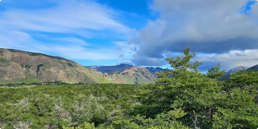 Embracing the Legacy