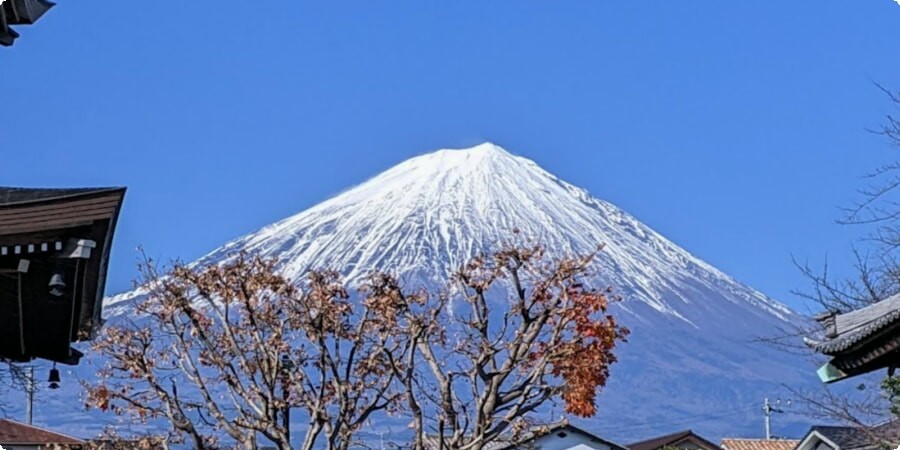 Choosing the Right Time: Seasonal Considerations for Visiting Mount Fuji