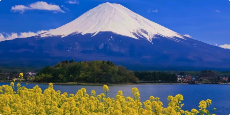 Exploring Nearby Attractions: Side Trips and Points of Interest Around Mount Fuji