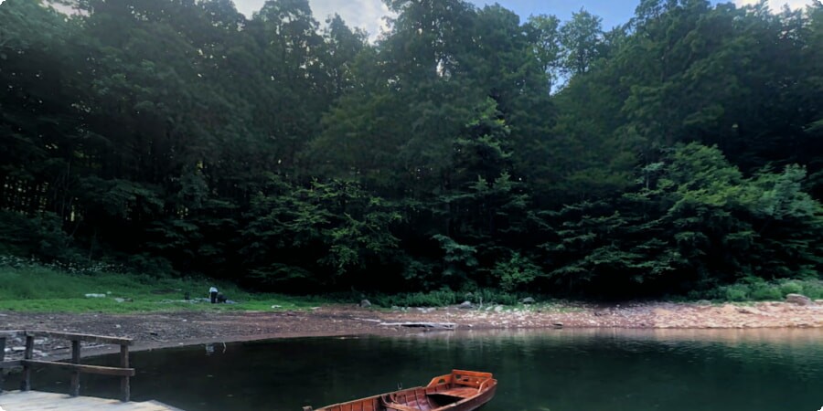 Fun Activities for Kids