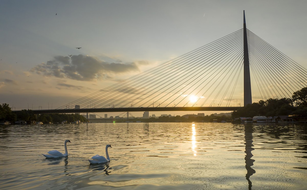 Practical Tips for Traveling in Serbia: Language, Currency, and Safety