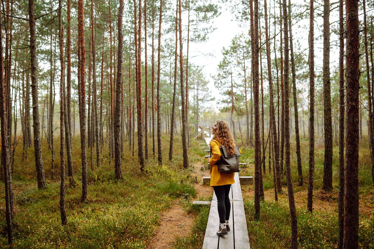 Ultimaattinen tiekiertue Liettuassa