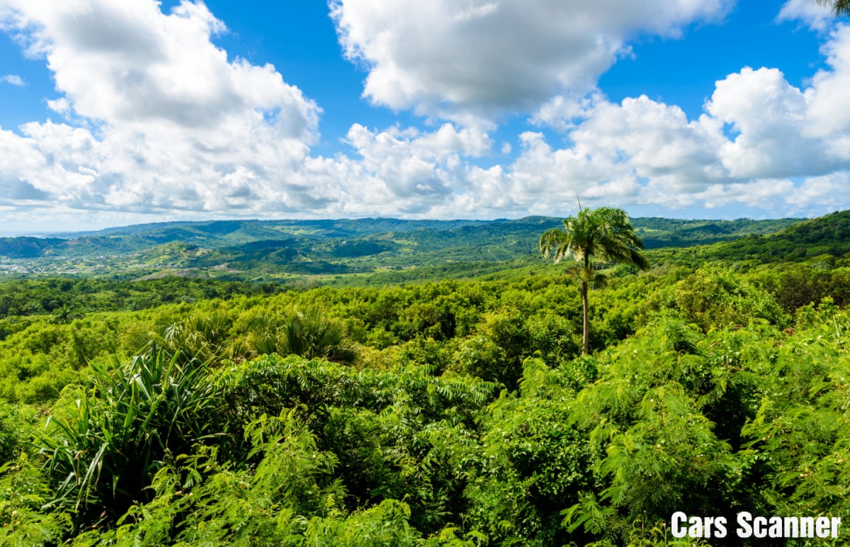 Barbados Wildlife Reserve