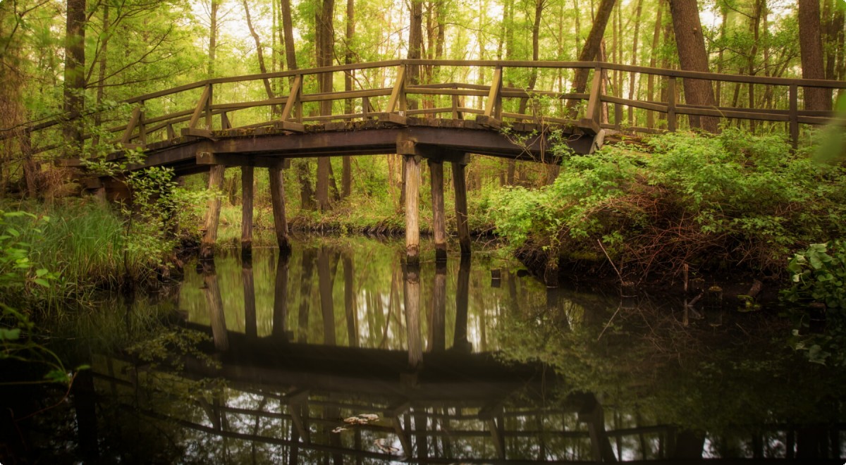 Spreewald-Brücke
