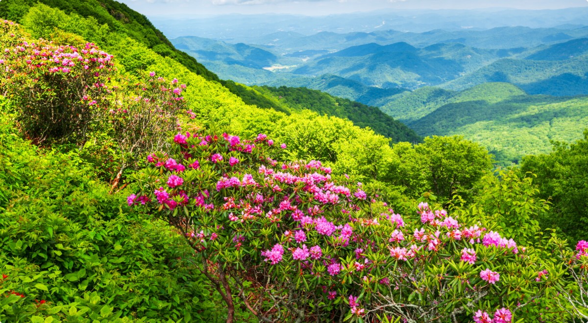 Blue Ridge