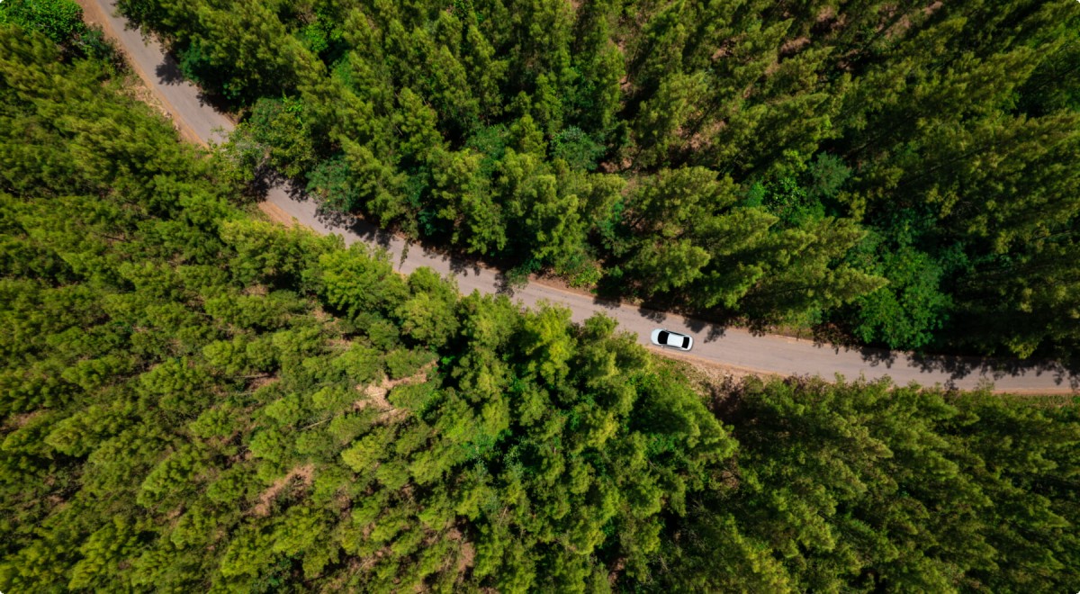 Aluguel de Carro Budget