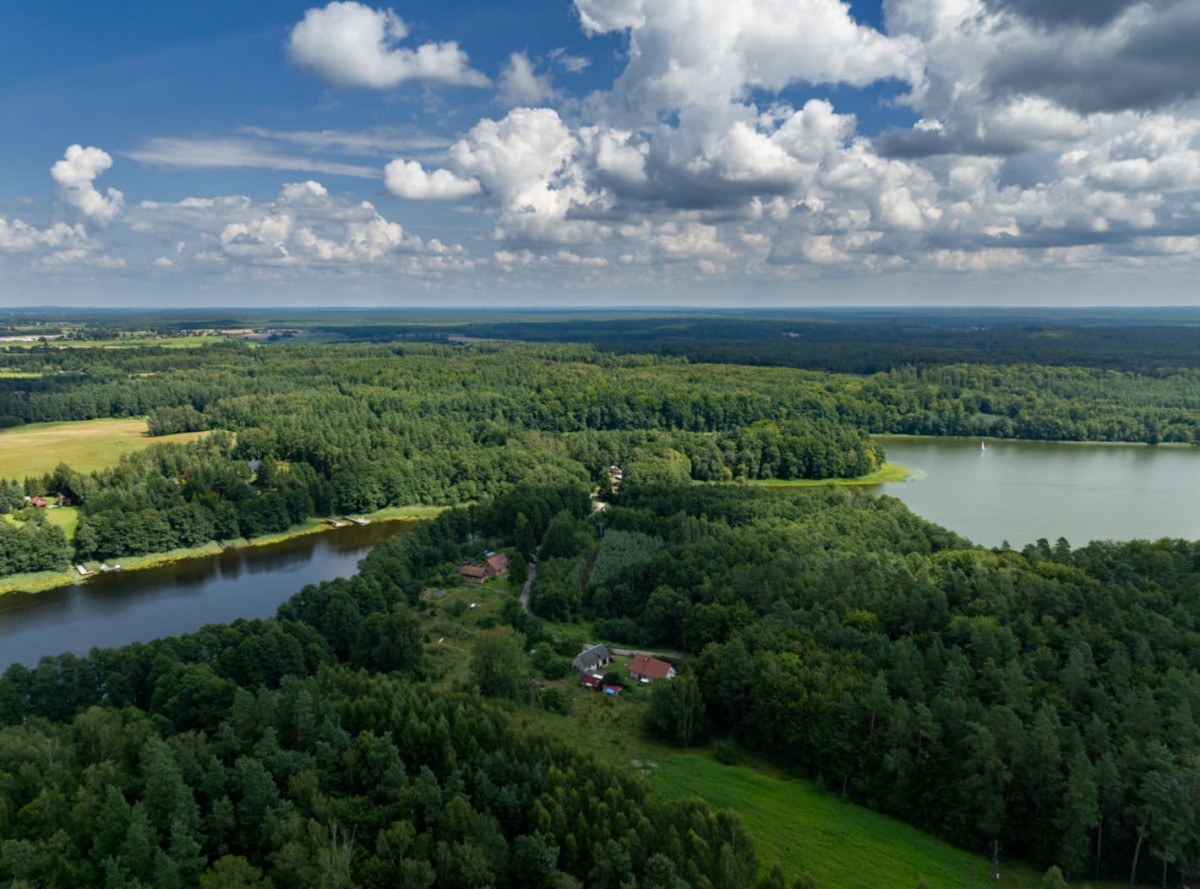Varmien-Masurisk skog