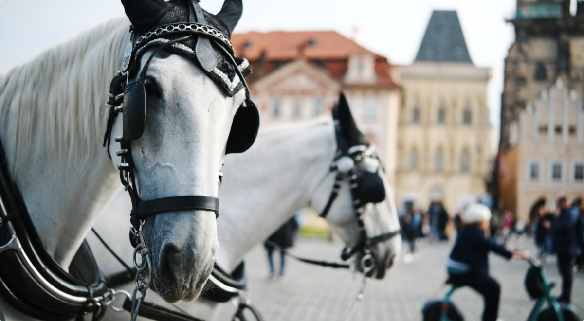 Kur iš Prahos nuvykti automobiliu savaitgaliui