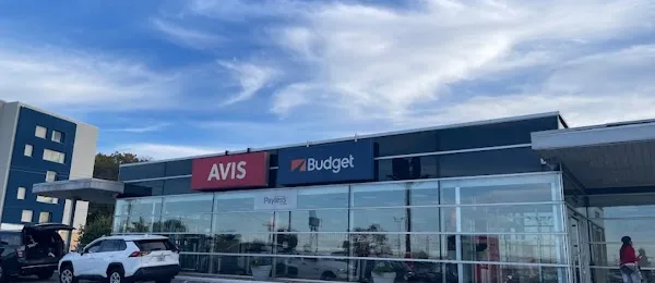 Avis Car Rental