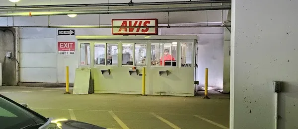 Avis Car Rental