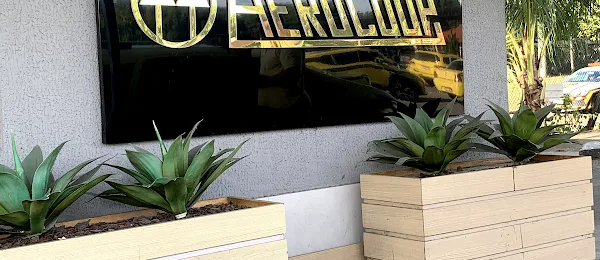 Aerocoop - Conventional Cab from Galeao International Airport