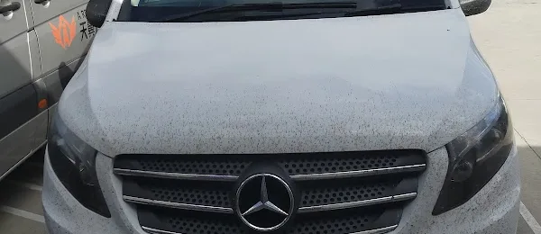 Yesaway Car Rental Queenstown