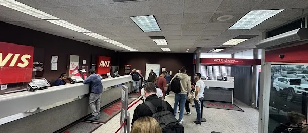 Avis Car Rental