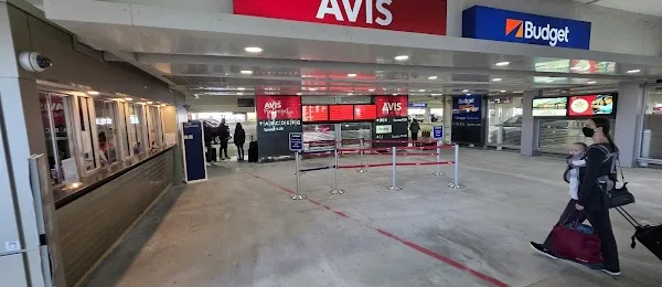 Avis Car Rental