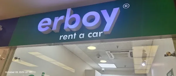 ErboyCar