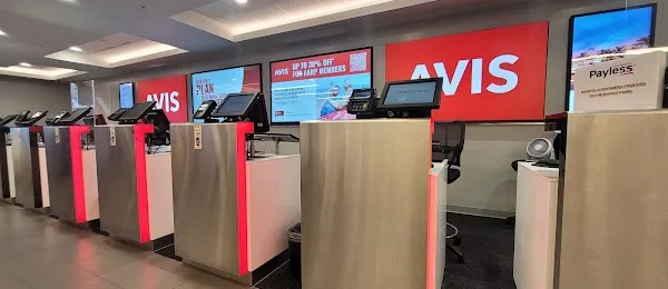 Avis Car Rental