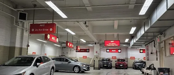 Avis Car Rental
