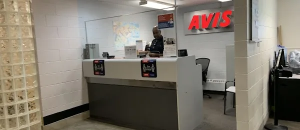 Avis Car Rental
