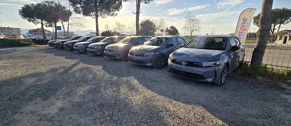 Çarşamba Havalimanı Rentone Araç Kiralama